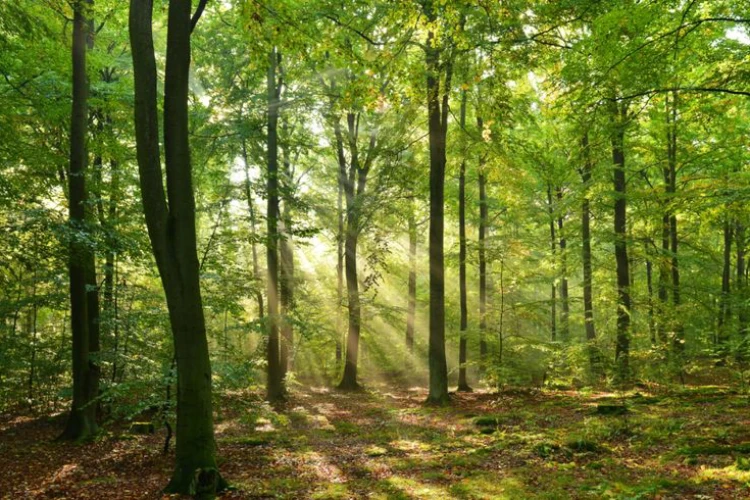 Stepping into Yara Holistic Living